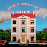 Maybe In Another Life…