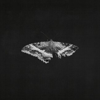To Pimp a Butterfly 10th Anniversary