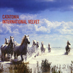 International Velvet